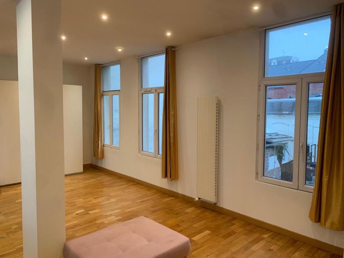 Spacieux 100 M2 Pour 7 Personnes En Plein Centre-Ville 릴 외부 사진